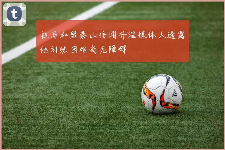 祖马加盟泰山传闻升温媒体人透露他训练困难尚无障碍